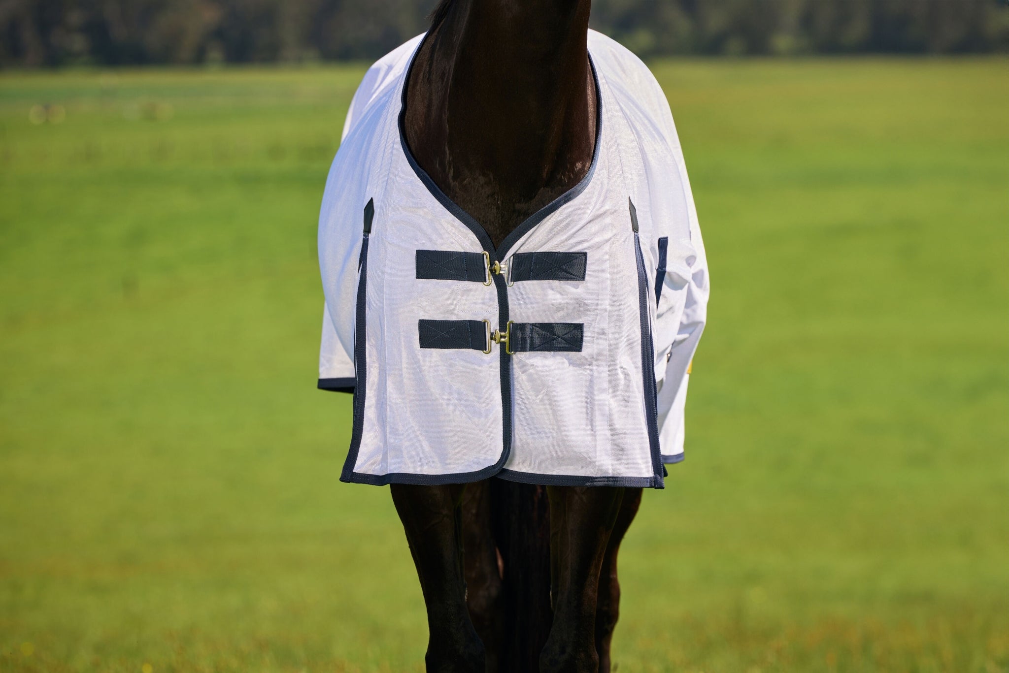 Saxon Mesh Fly Sheet Standard Neck