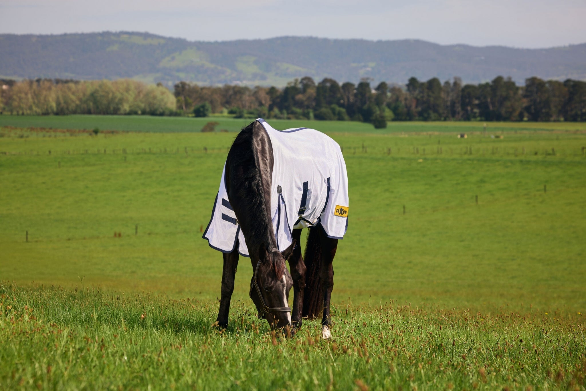 Saxon Mesh Fly Sheet Standard Neck