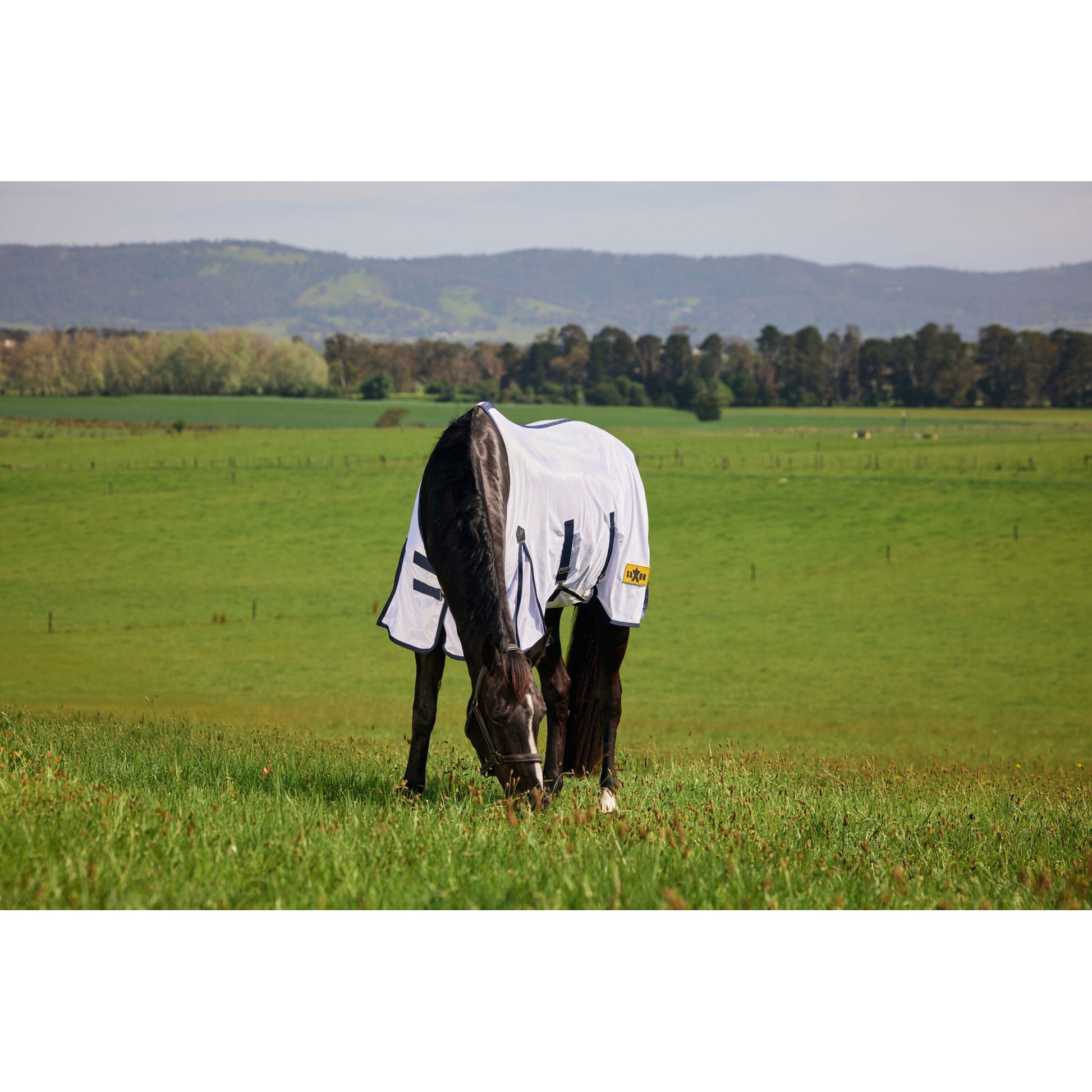 Saxon Mesh Fly Sheet Standard Neck