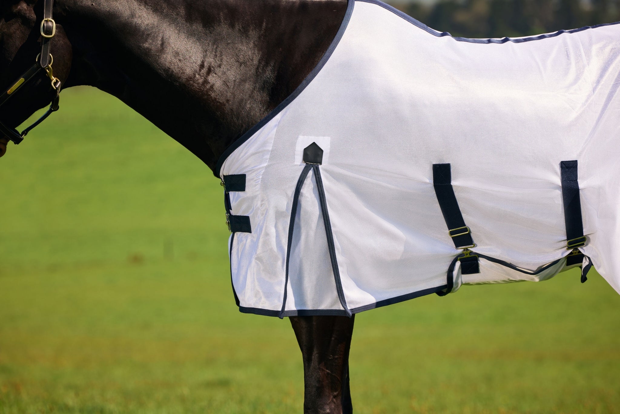 Saxon Mesh Fly Sheet Standard Neck