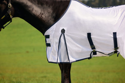 Saxon Mesh Fly Sheet Standard Neck