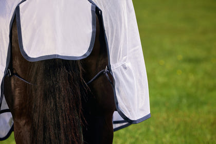 Saxon Mesh Fly Sheet Standard Neck