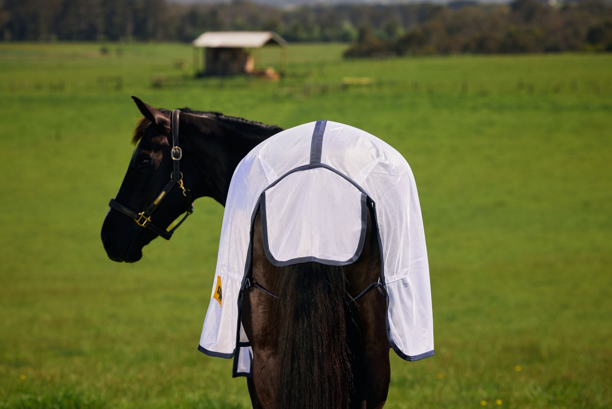 Saxon Mesh Fly Sheet Standard Neck