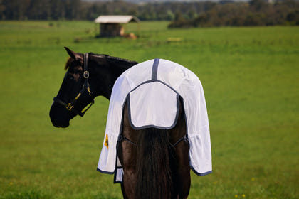 Saxon Mesh Fly Sheet Standard Neck