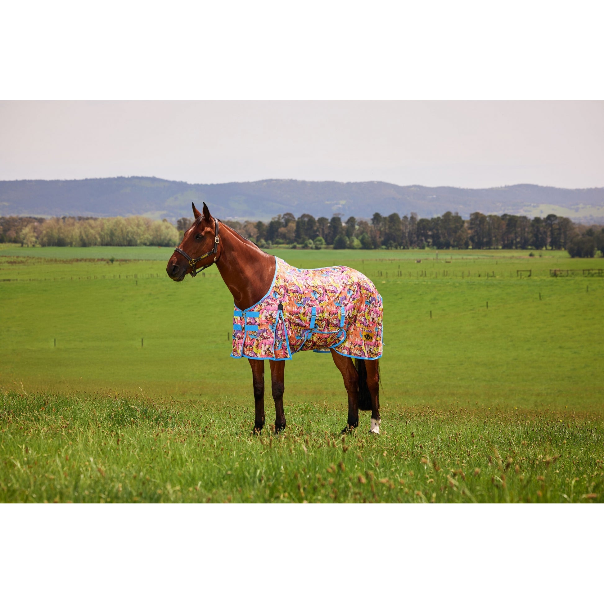 Saxon Mesh Fly Sheet Standard Neck