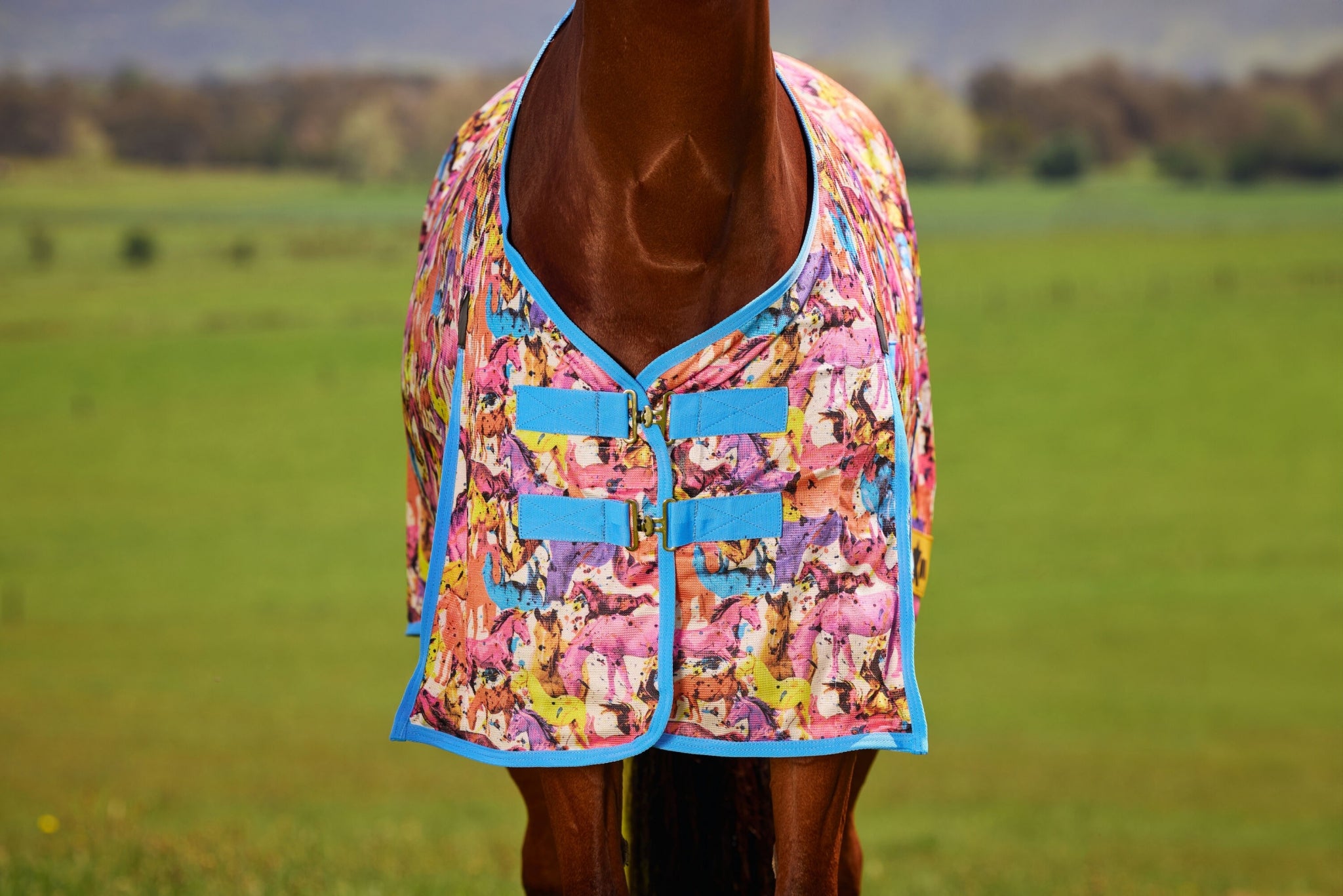 Saxon Mesh Fly Sheet Standard Neck