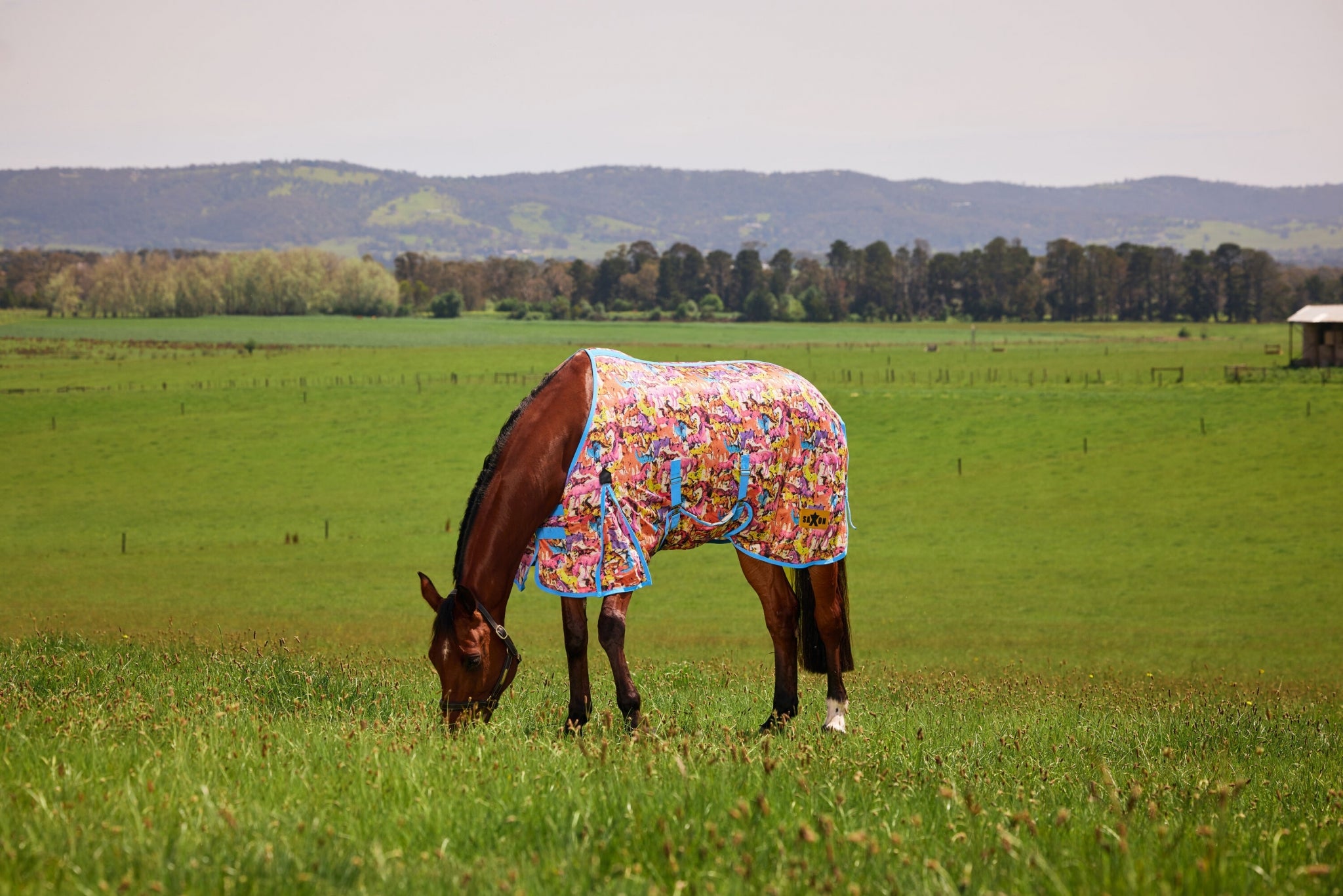 Saxon Mesh Fly Sheet Standard Neck