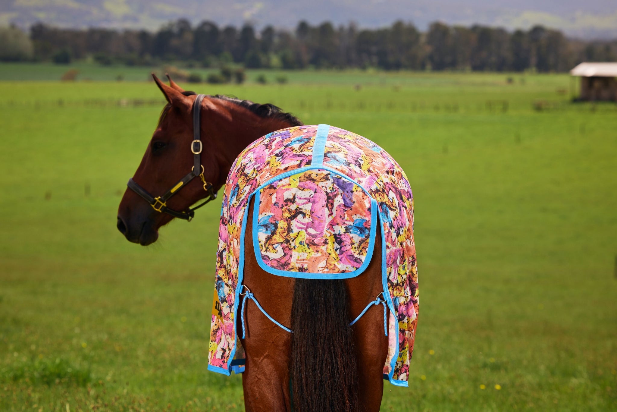 Saxon Mesh Fly Sheet Standard Neck