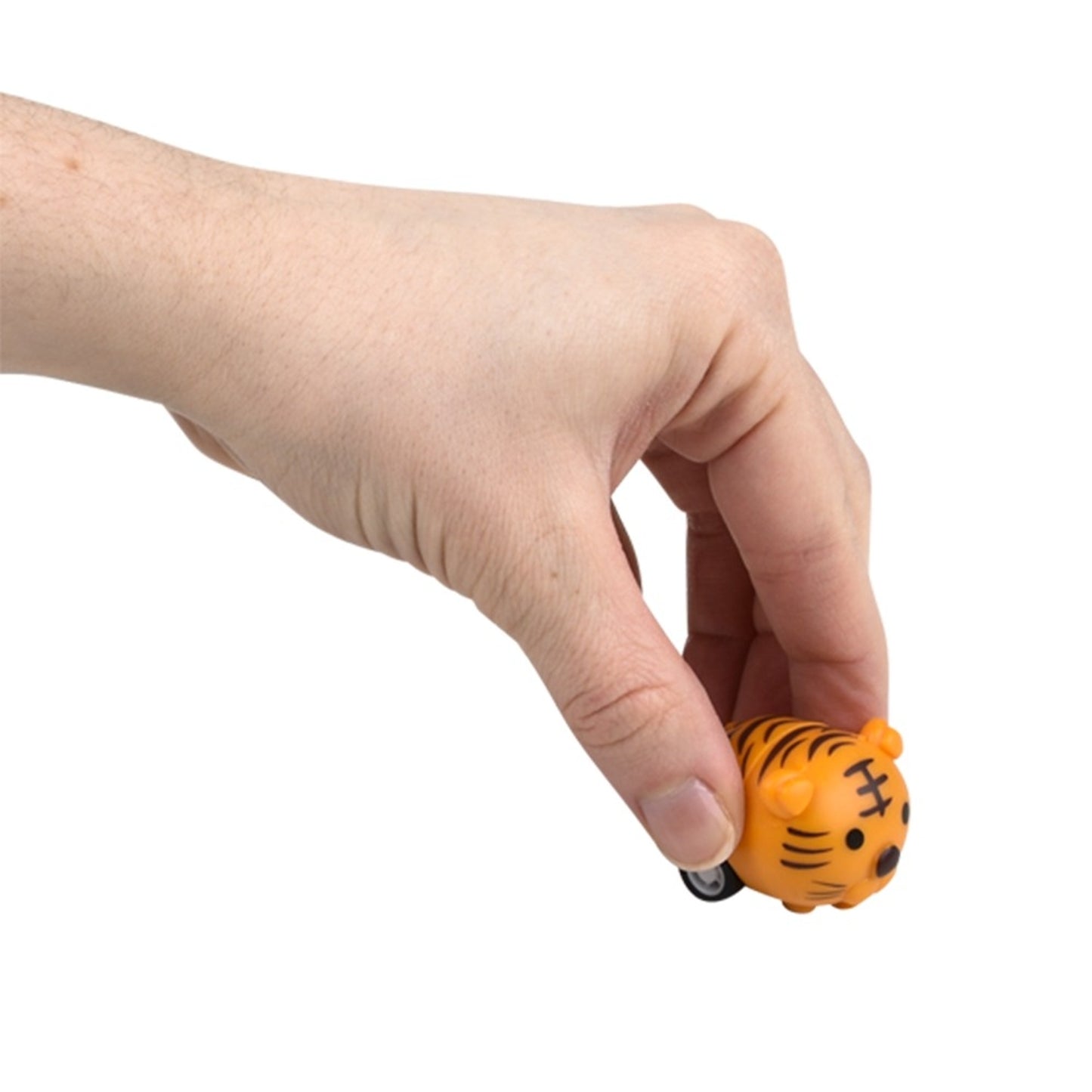 4-493437-8.jpg