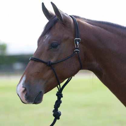 Professionals Choice Easy On Rope Halter with Lead