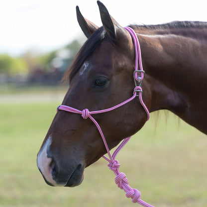 Professionals Choice Easy On Rope Halter with Lead