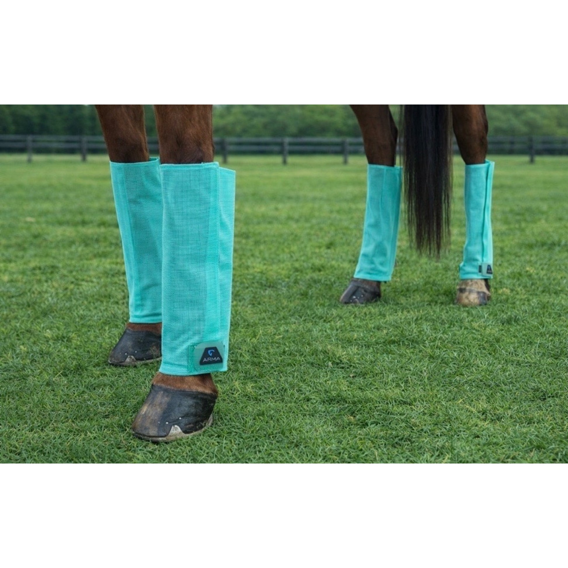 Shires Arma Mesh Fly Boots