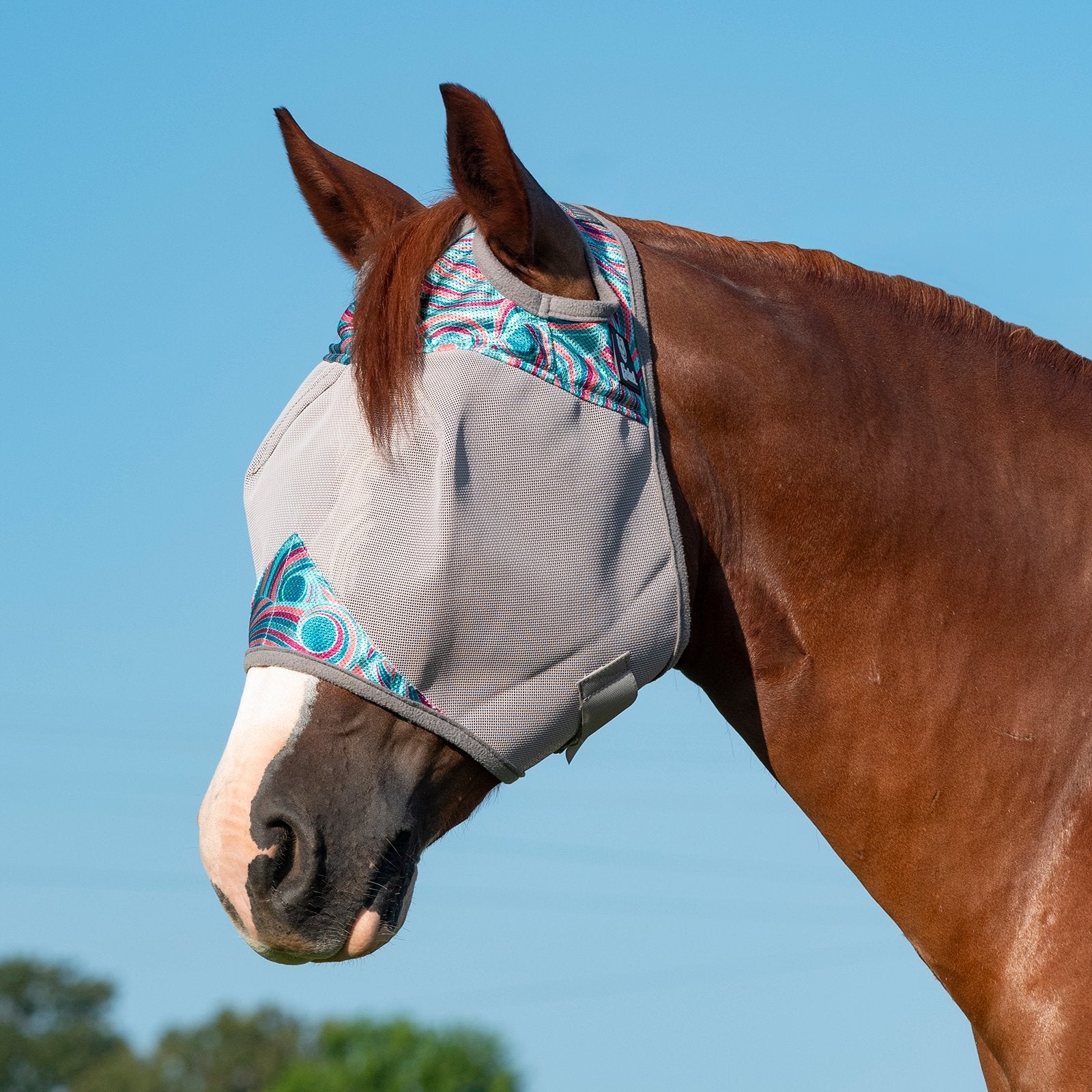 Cashel Crusader Fly Mask- Standard