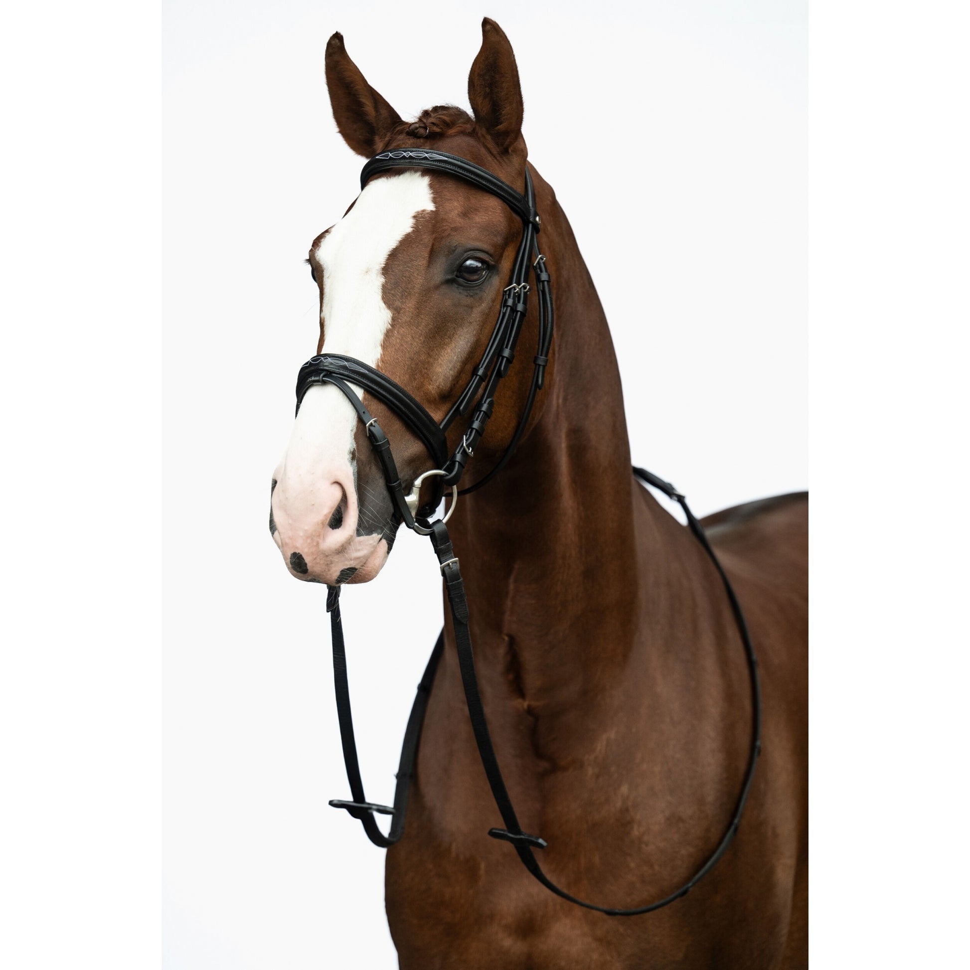 HKM Jana Bridle