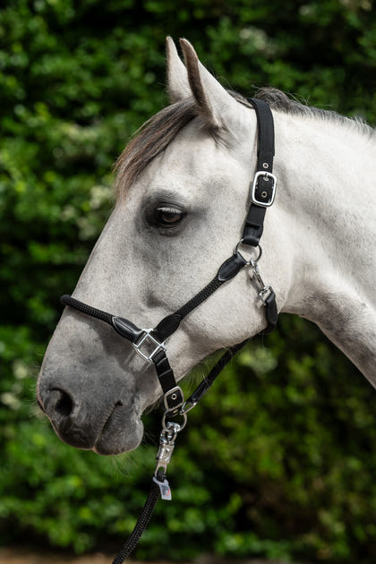 HKM Carlotta Head Collar