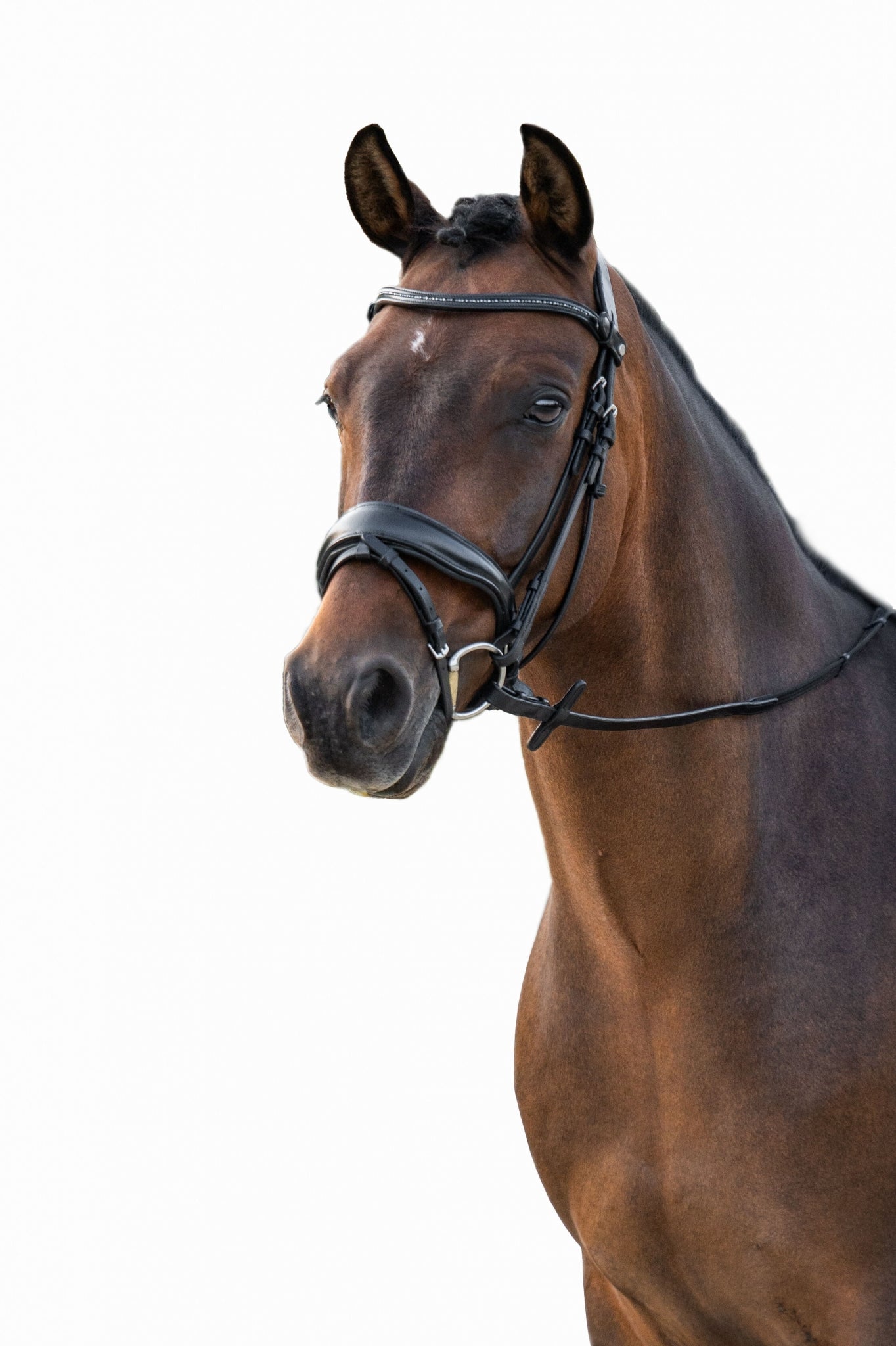 HKM Ira Bridle