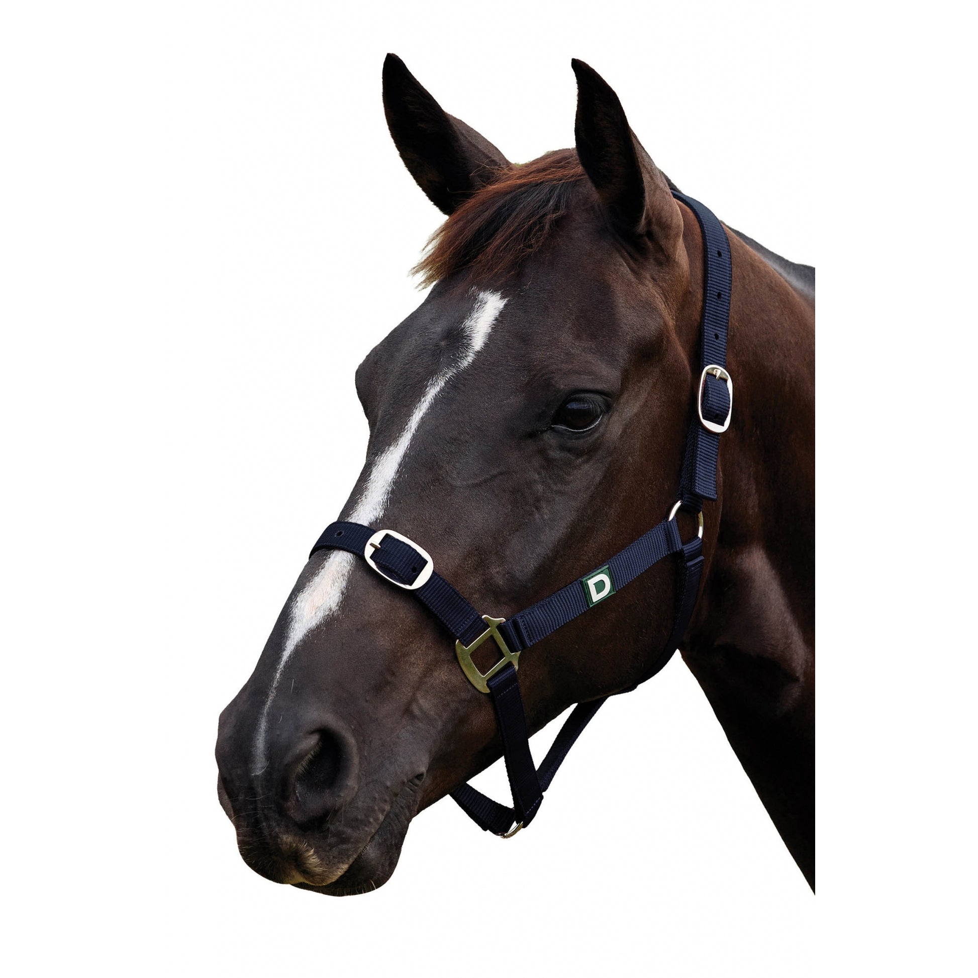 Dublin Everyday Breakaway Halter