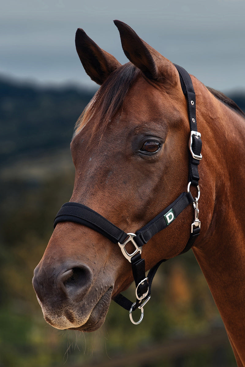 Dublin Neo Comfort Breakaway Halter