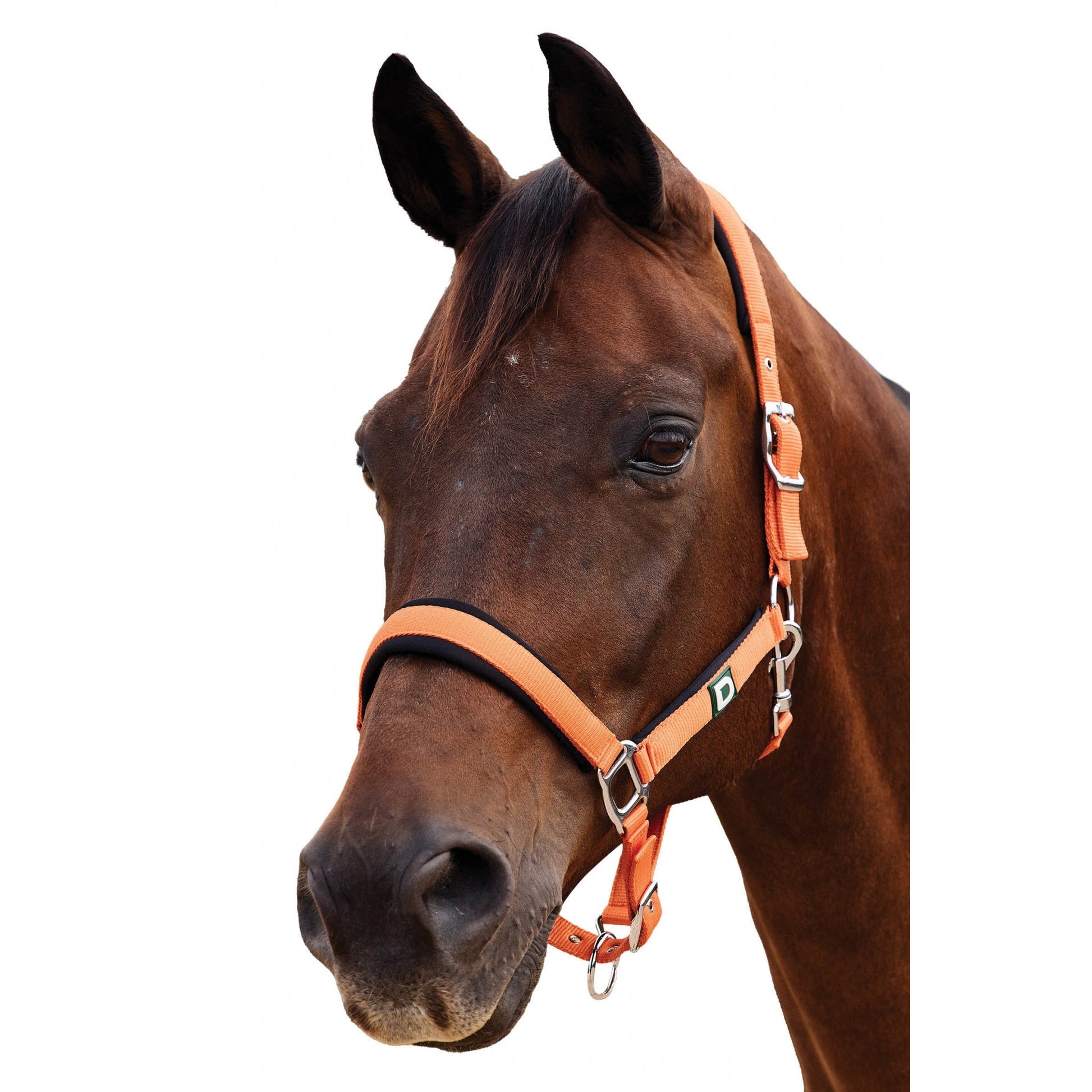 Dublin Neo Comfort Breakaway Halter