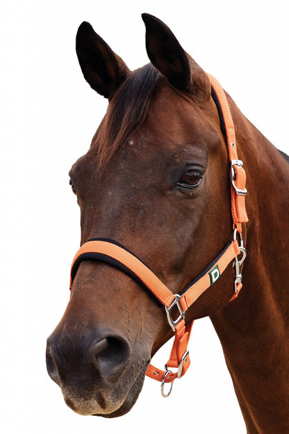 Dublin Neo Comfort Breakaway Halter