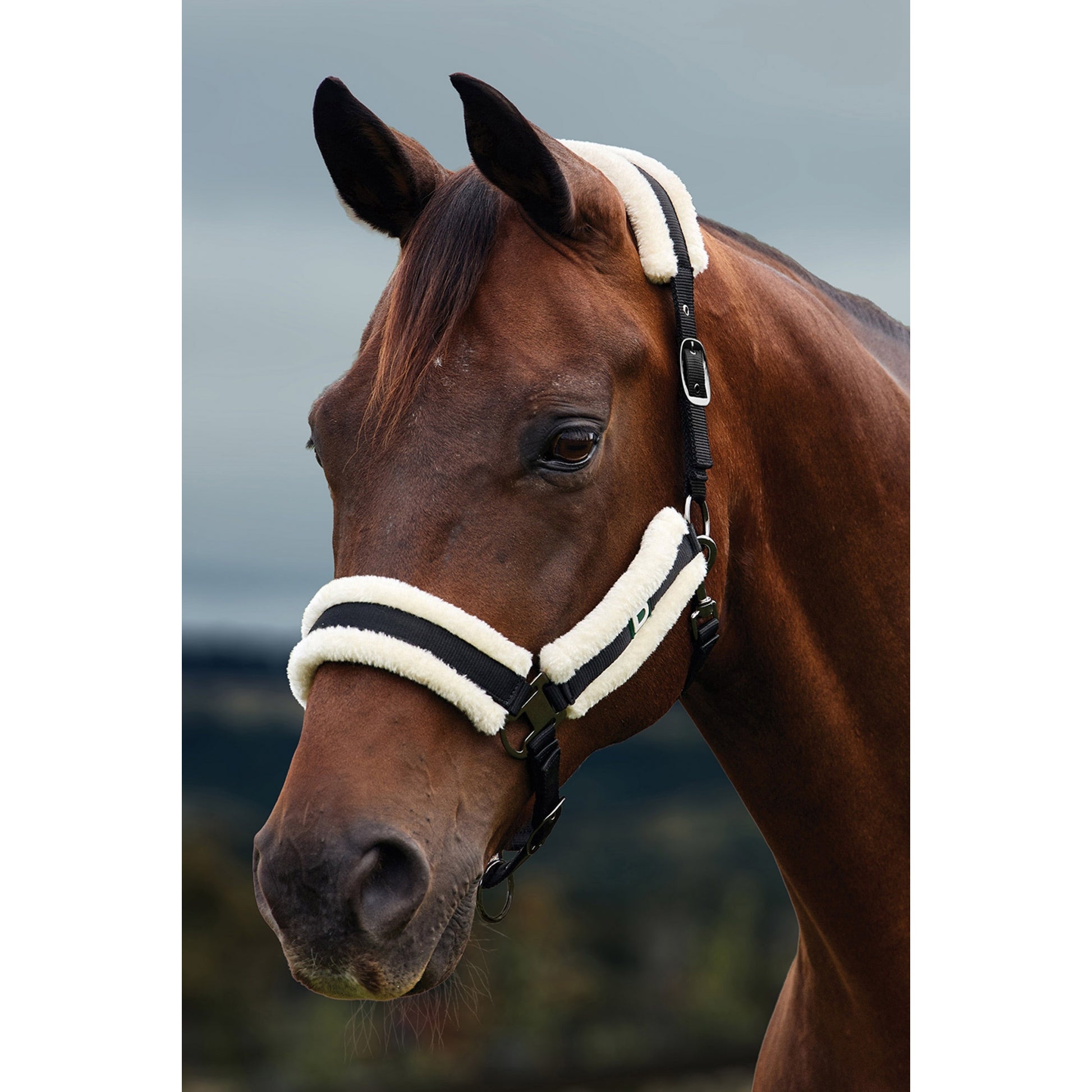 Dublin Soft Fit Breakaway Halter
