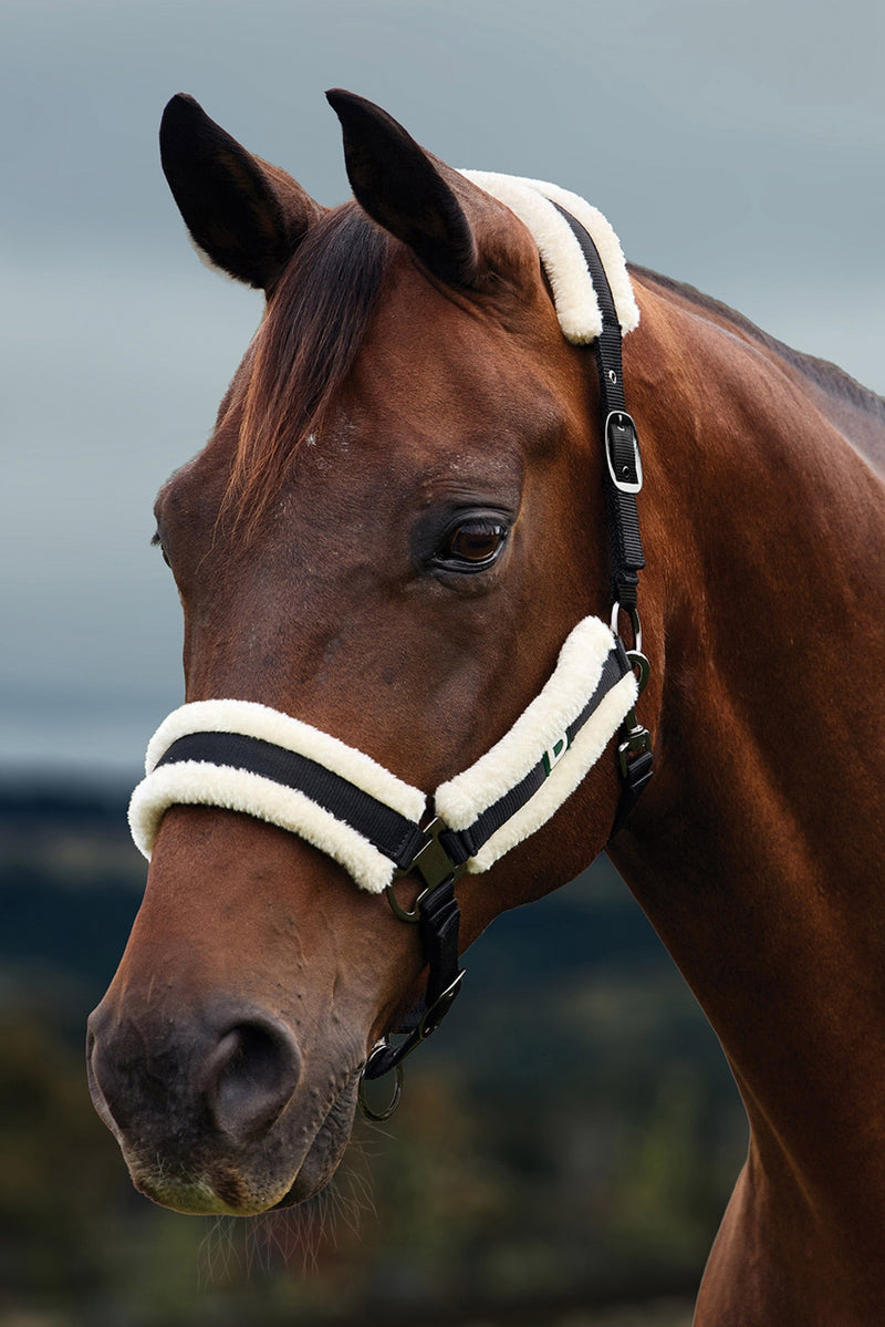 Dublin Soft Fit Breakaway Halter