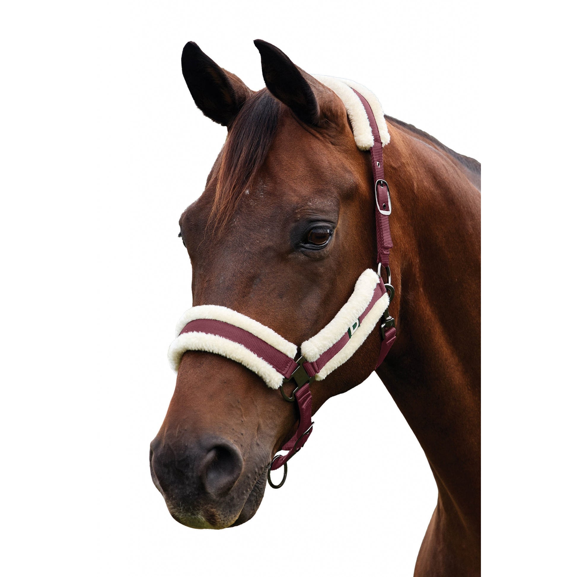 Dublin Soft Fit Breakaway Halter
