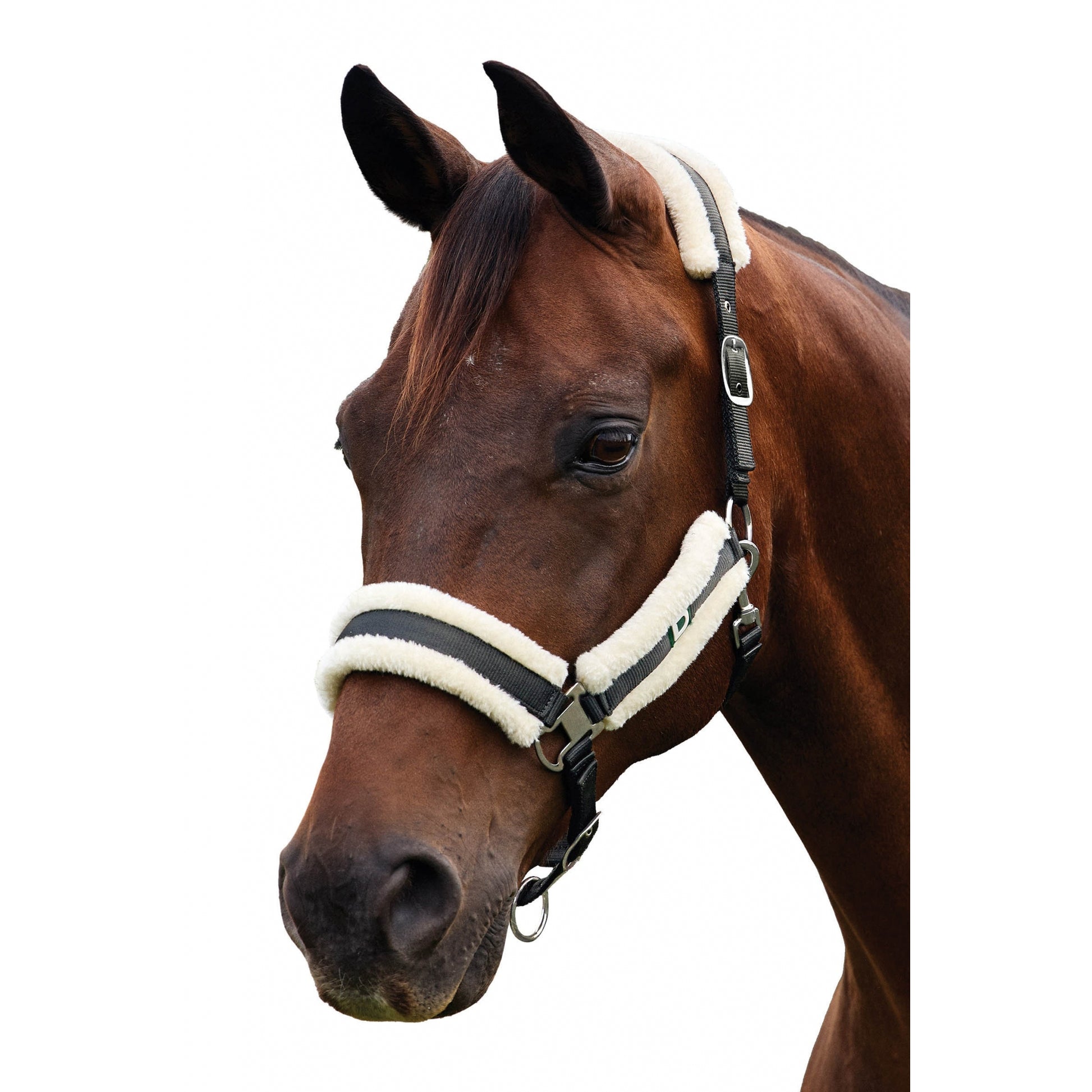 Dublin Soft Fit Breakaway Halter