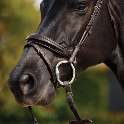 Dublin Patent Bridle