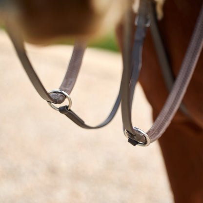 Dublin 5-Point Event Breastplate