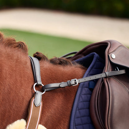 Dublin 5-Point Event Breastplate