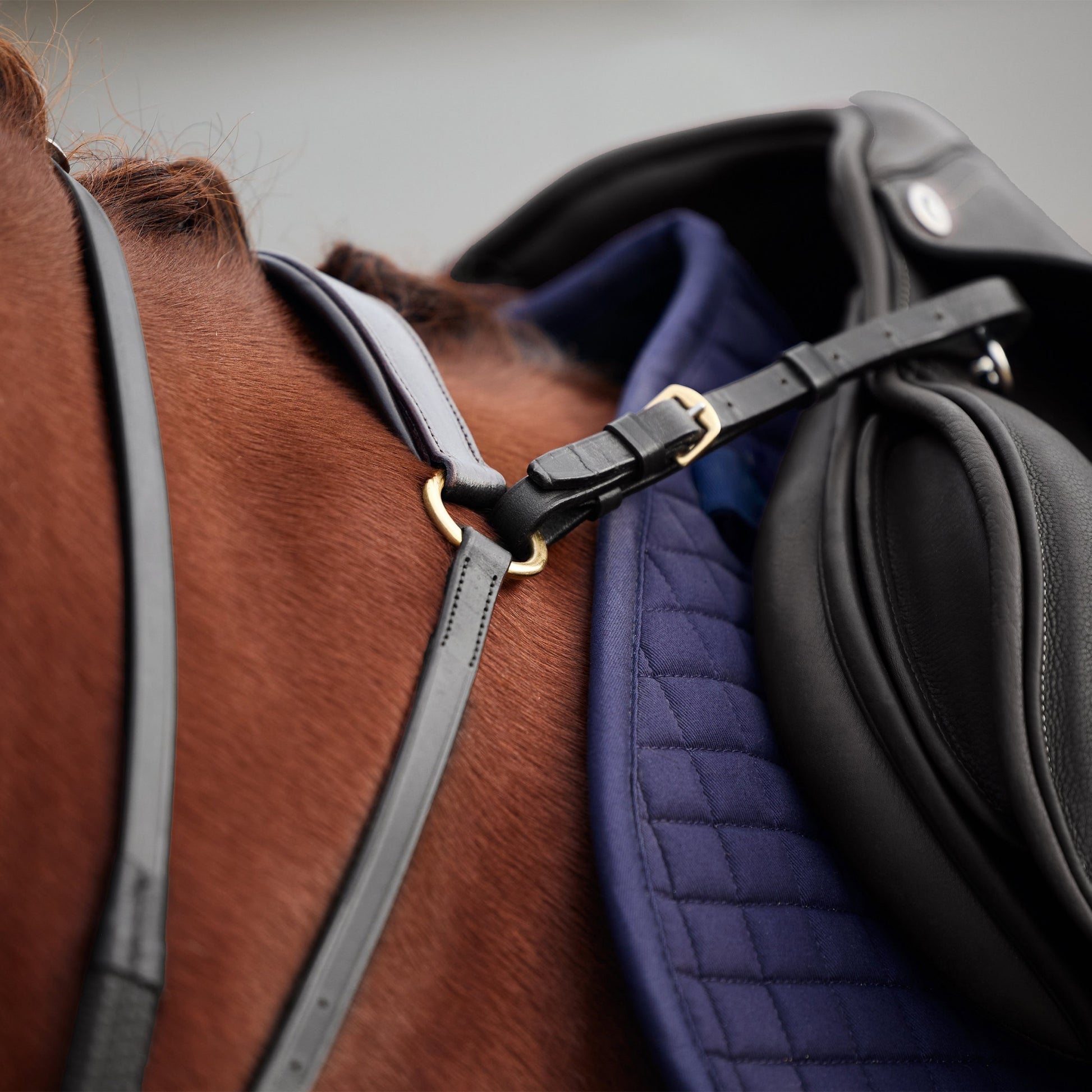 Dublin 3-Point Breastplate