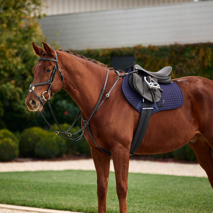 Dublin 3-Point Breastplate