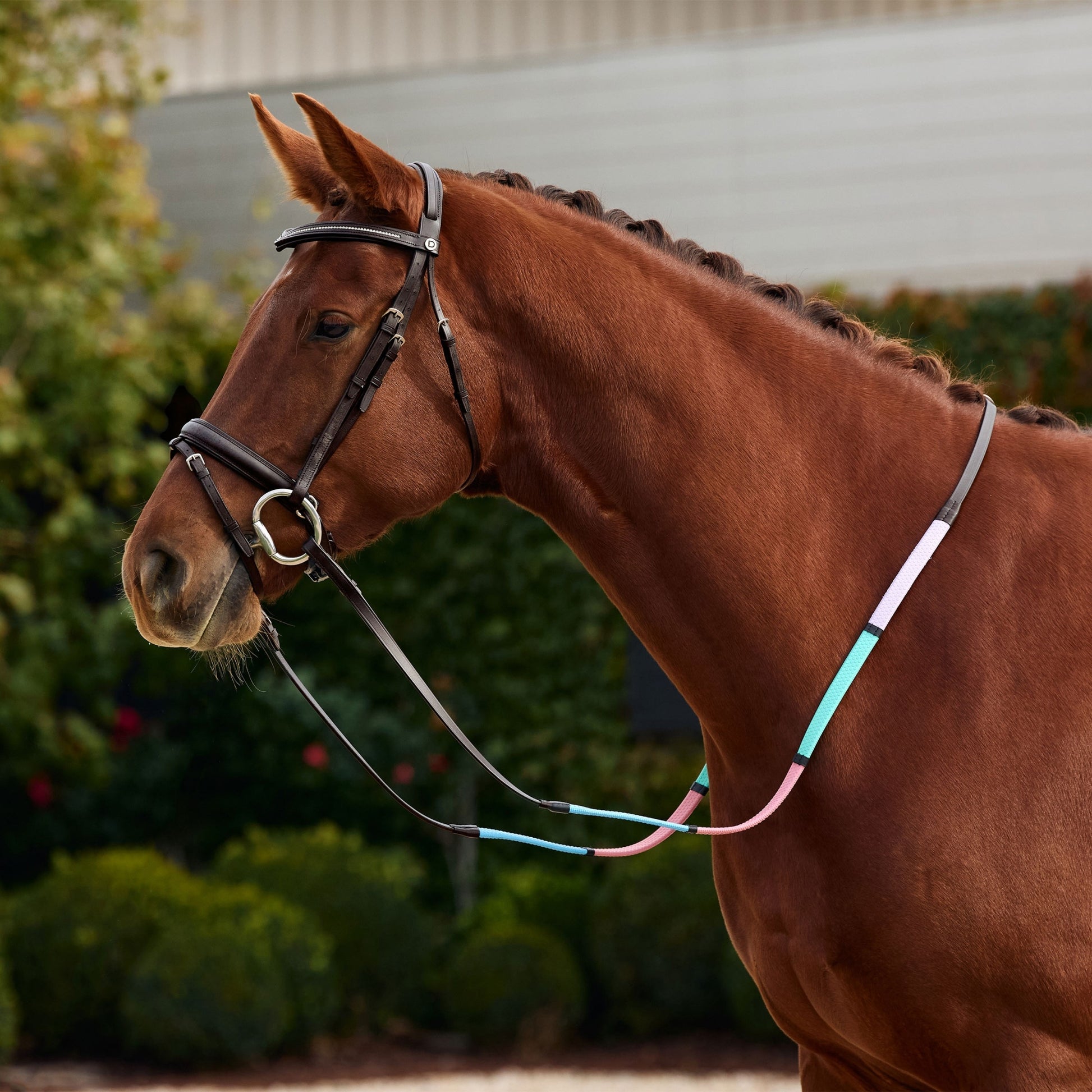 Dublin Pastel Rainbow Reins