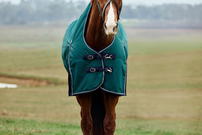 Weatherbeeta ComFiTec Plus Dynamic Turnout High Neck 100g