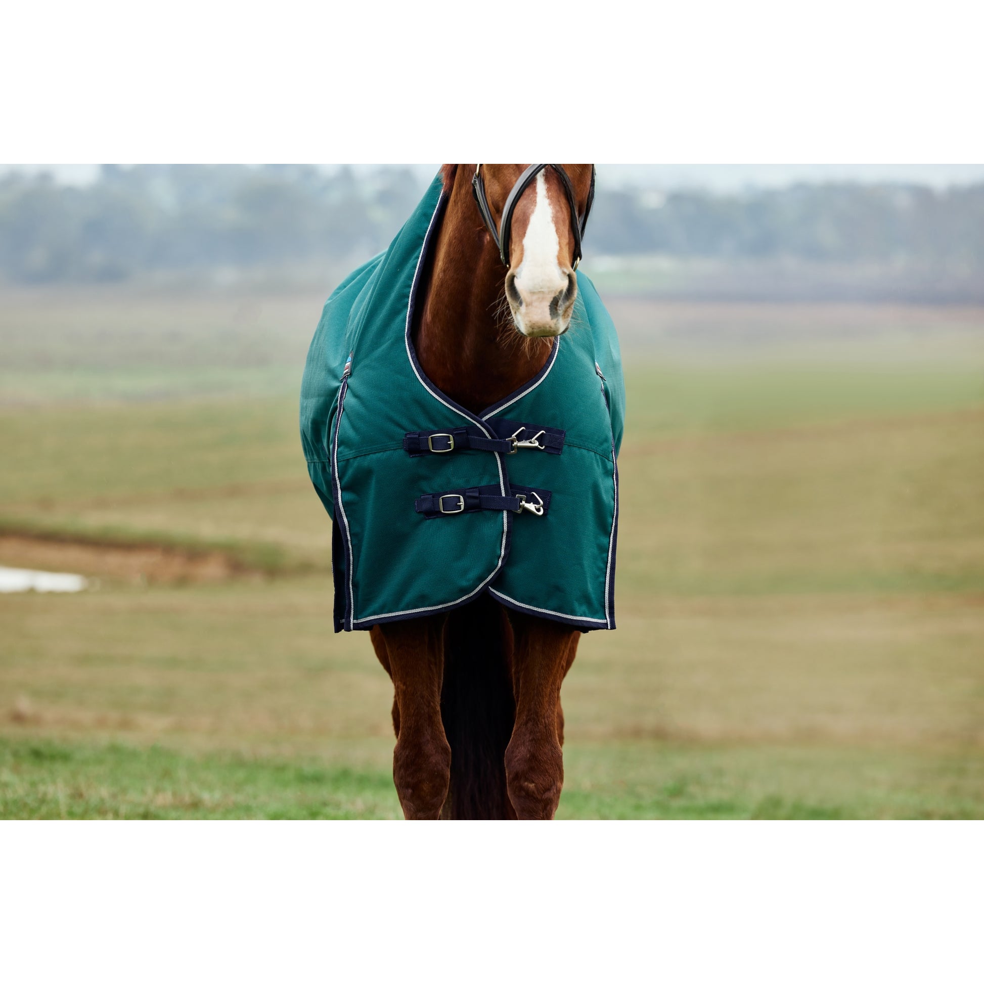 Weatherbeeta ComFiTec Plus Dynamic Turnout High Neck 0g