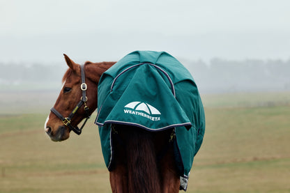Weatherbeeta ComFiTec Plus Dynamic Turnout High Neck 100g