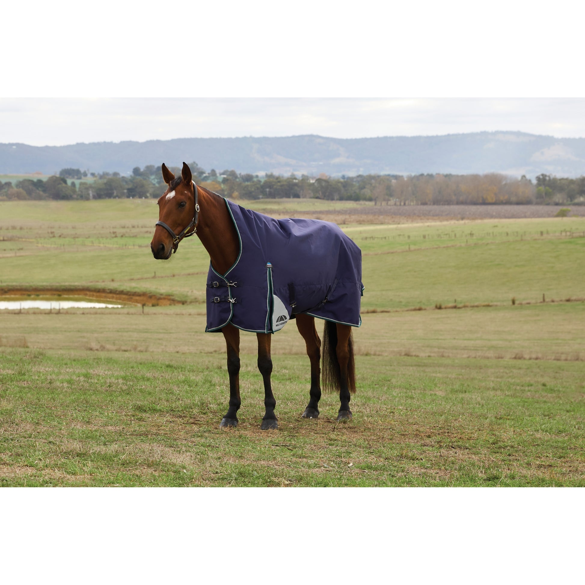 Weatherbeeta ComFiTec Plus Dynamic Turnout High Neck 0g