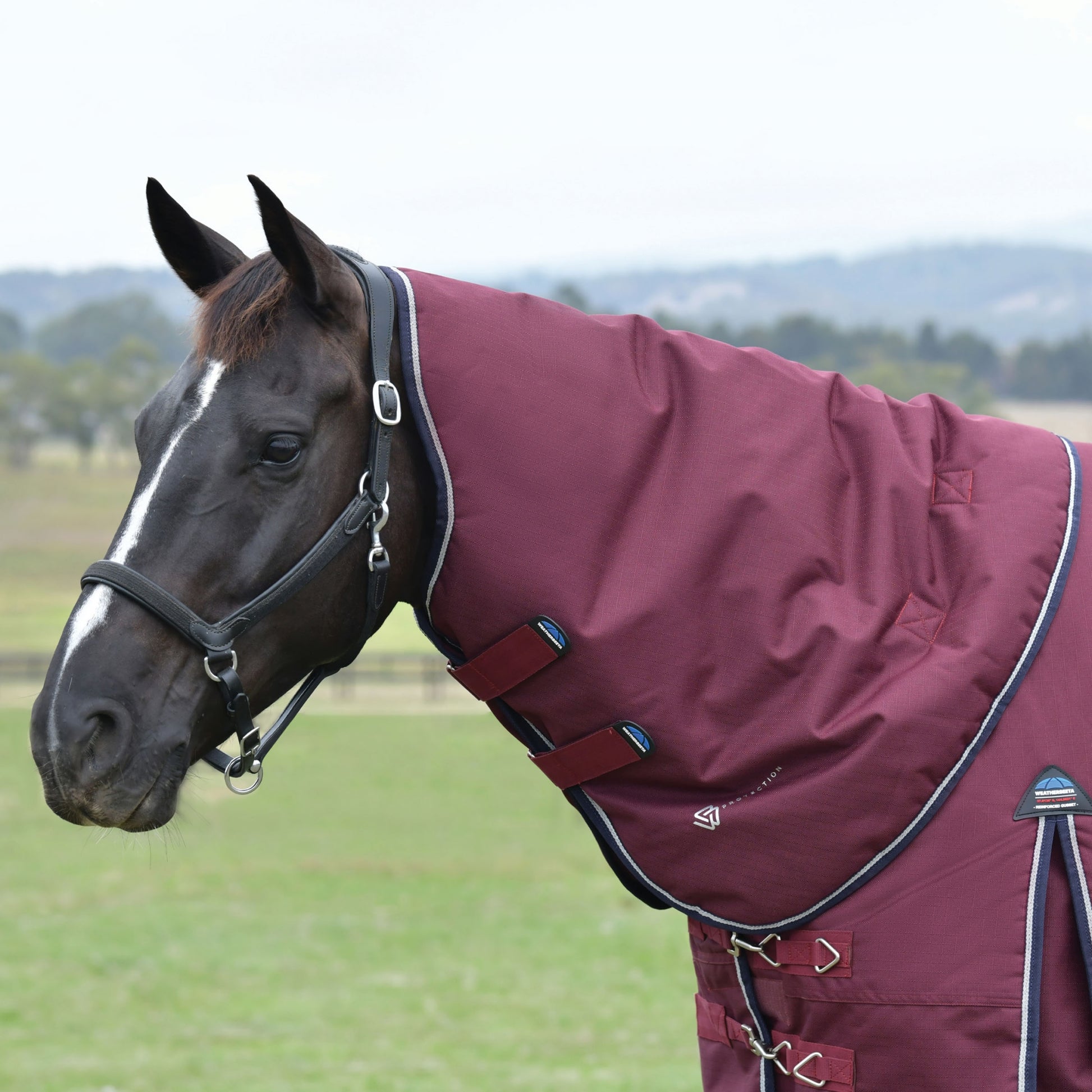Weatherbeeta ComFiTec Essential Turnout Detach-A-Neck 360g