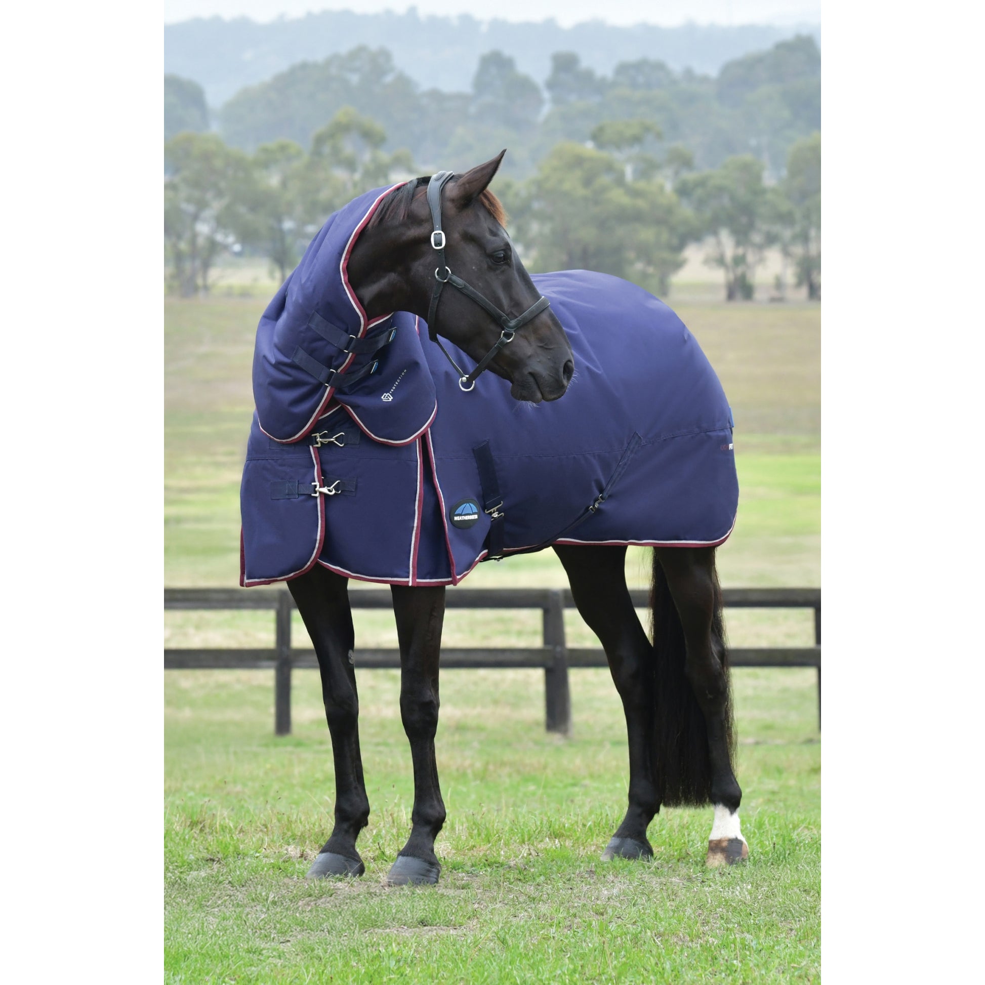 Weatherbeeta ComFiTec Essential Turnout Detach-A-Neck 360g