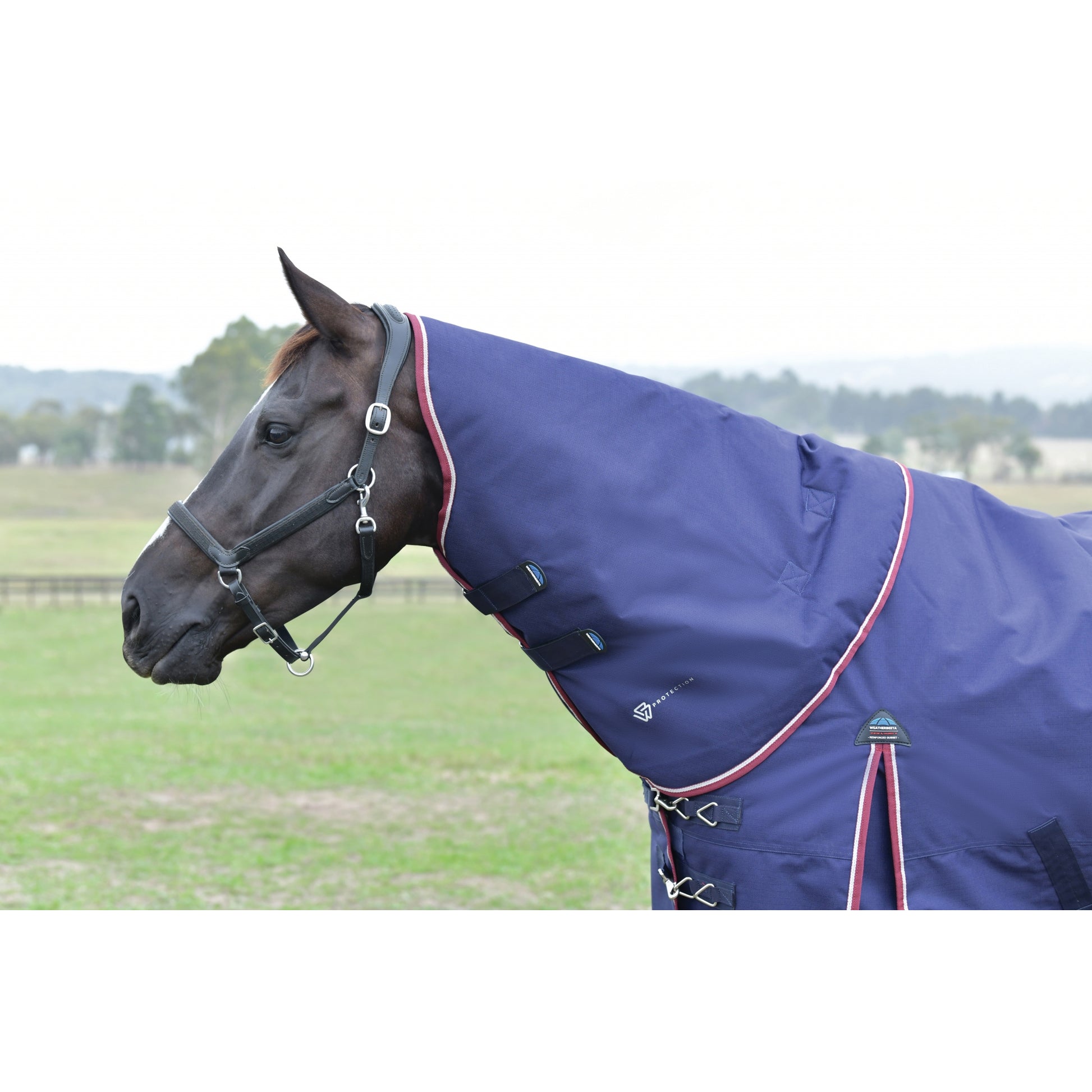 Weatherbeeta ComFiTec Essential Turnout Detach-A-Neck 360g