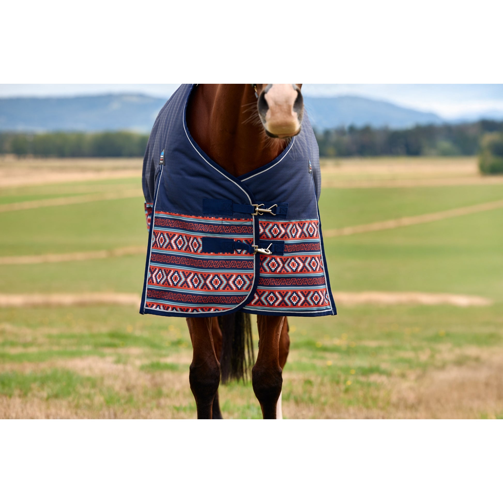 Weatherbeeta ComFiTec Legend Turnout Standard Neck 220g