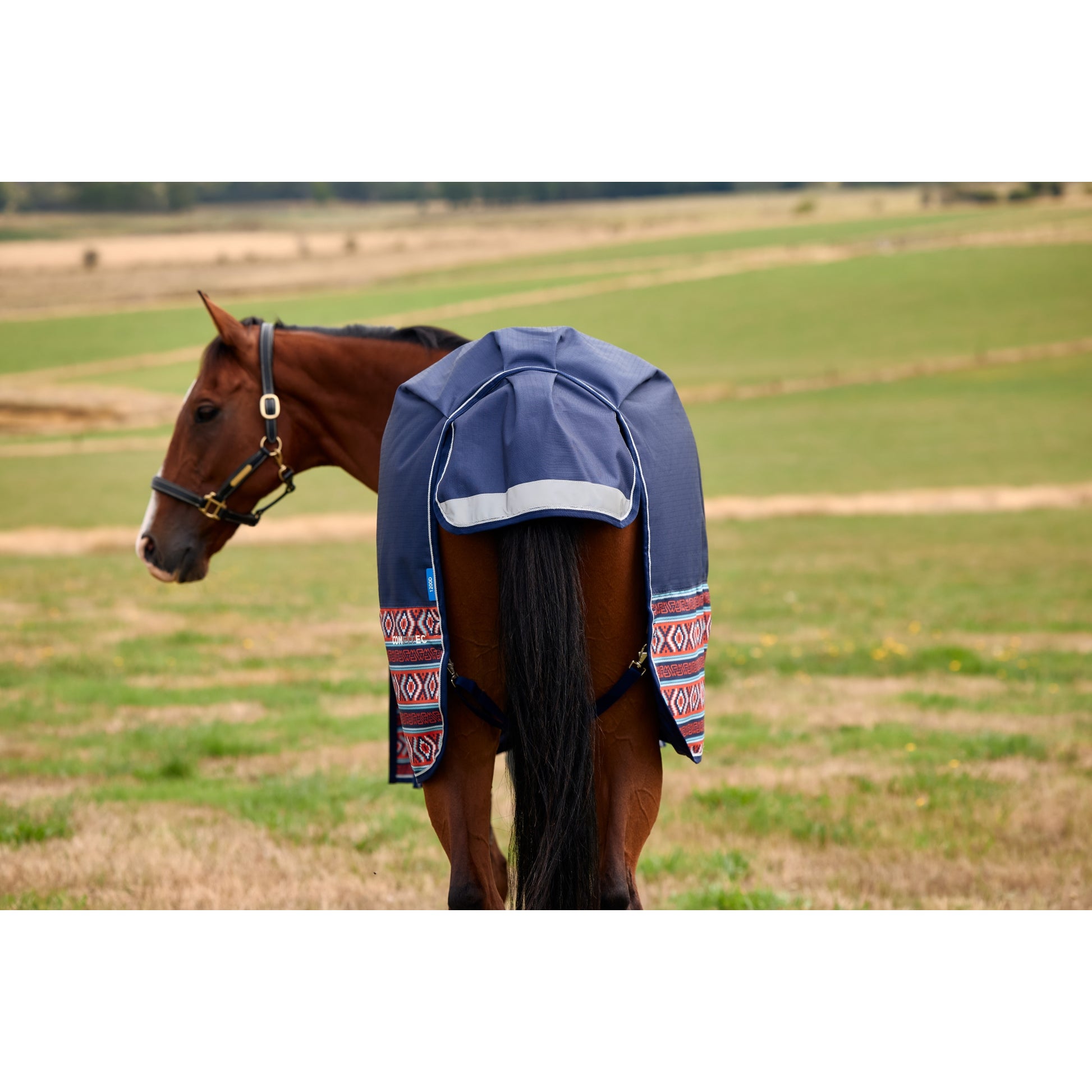 Weatherbeeta ComFiTec Legend Turnout Standard Neck 0g