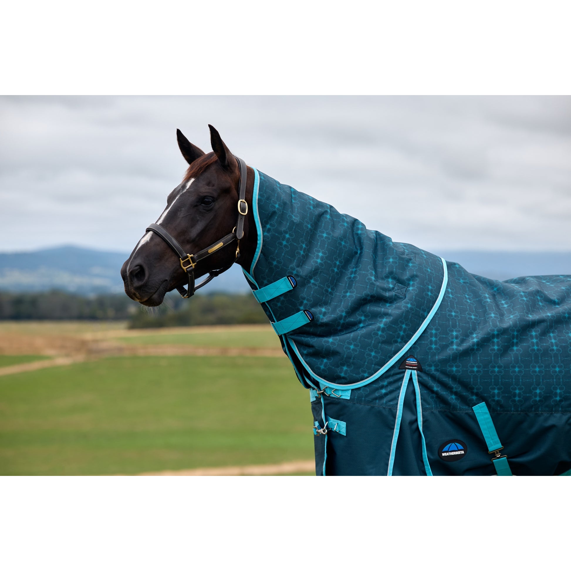 Weatherbeeta ComFiTec Limited Edition Turnout Neck Cover 220g