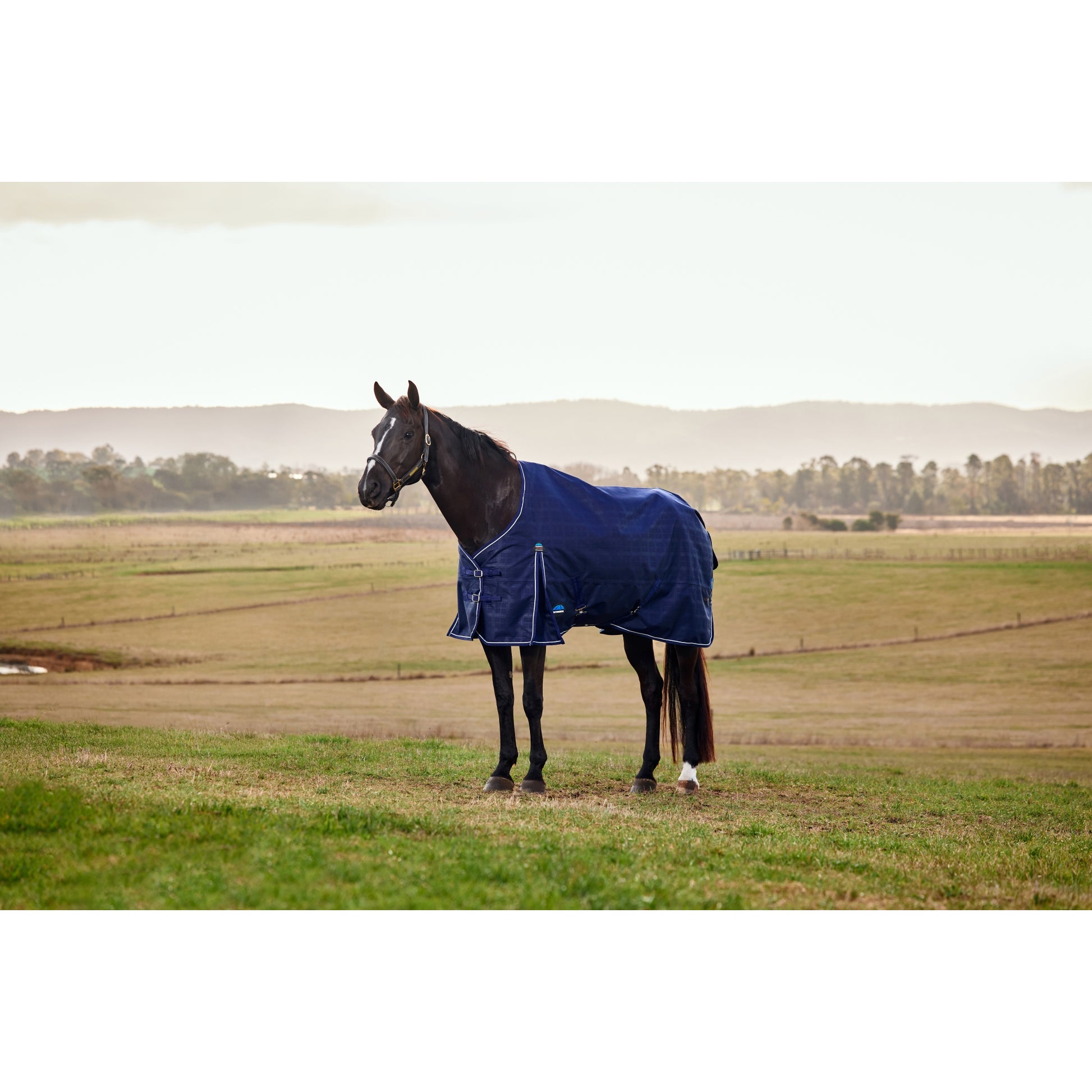 Weatherbeeta ComFiTec Prelim Turnout Standard Neck 100g