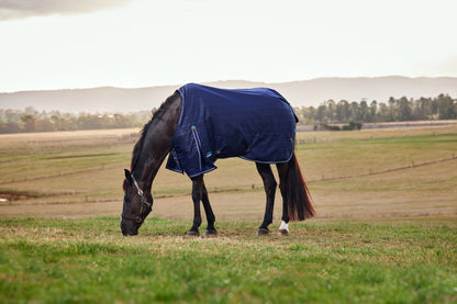 Weatherbeeta ComFiTec Prelim Turnout Standard Neck 100g