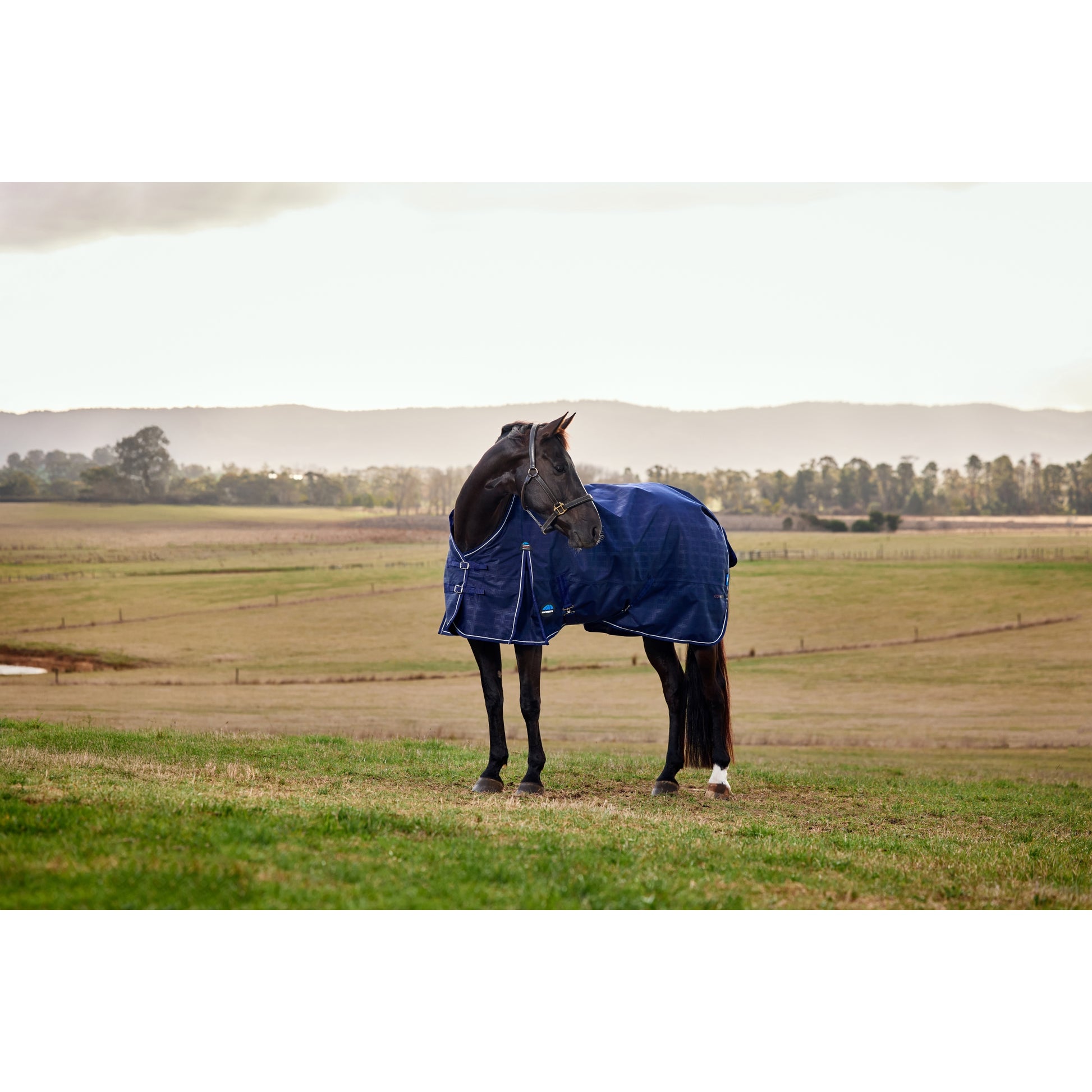 Weatherbeeta ComFiTec Prelim Turnout Standard Neck 100g