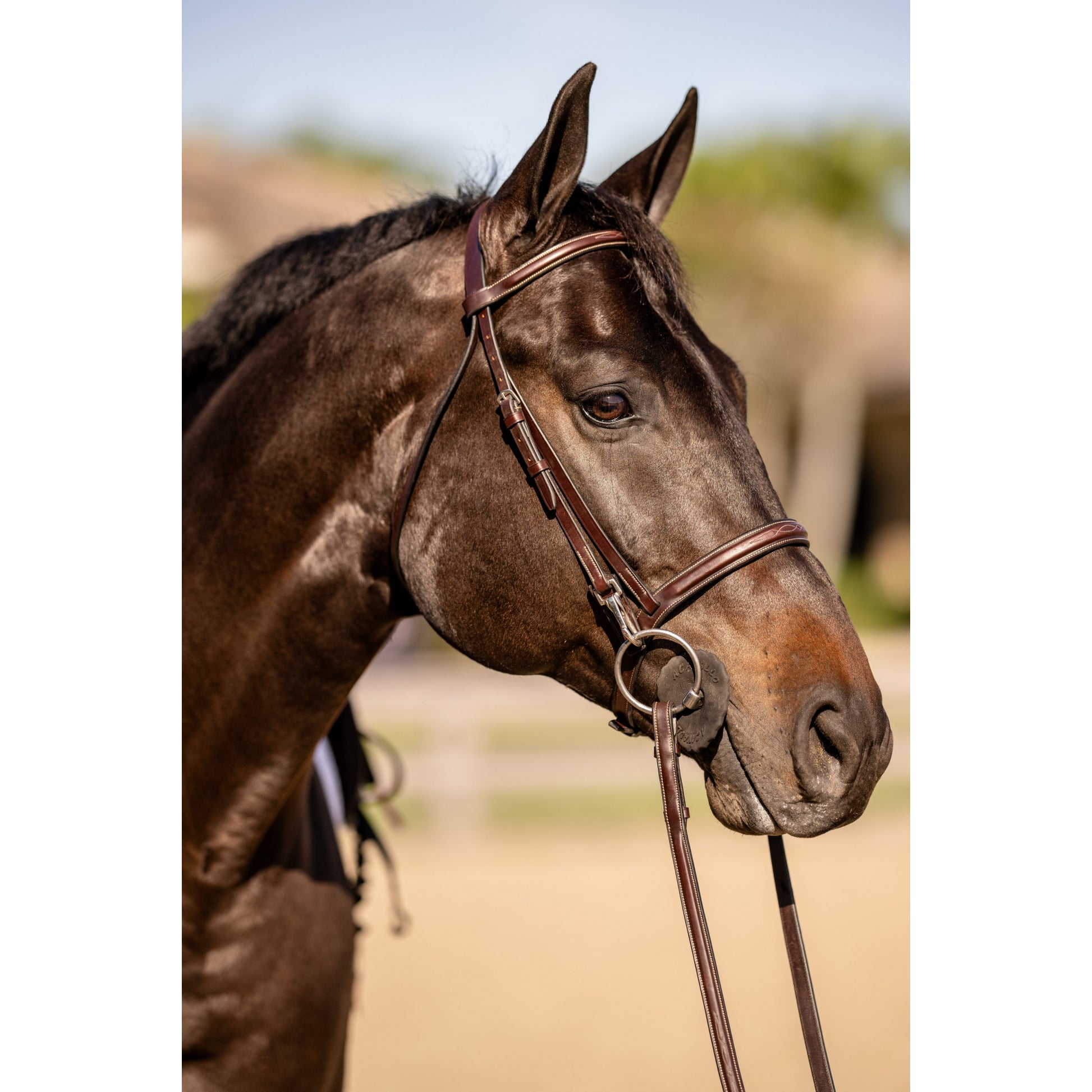 Huntley Equestrian Sedgwick Fancy Stitched Bridle with Cheek Clips and Reins