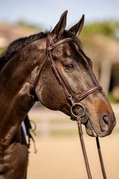 Huntley Equestrian Sedgwick Fancy Stitched Bridle with Cheek Clips and Reins