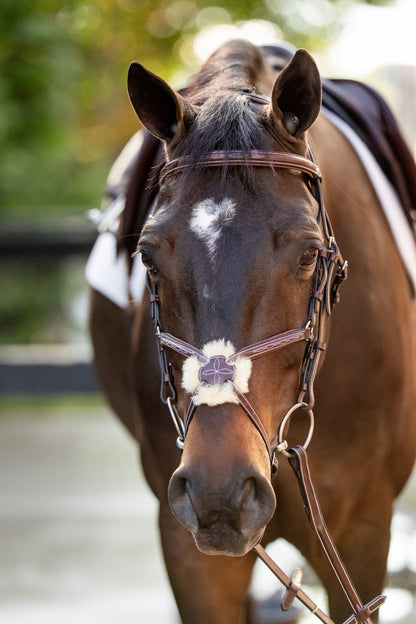 Huntley Equestrian Sedgwick Leather Padded Monocrown Figure 8 Bridle